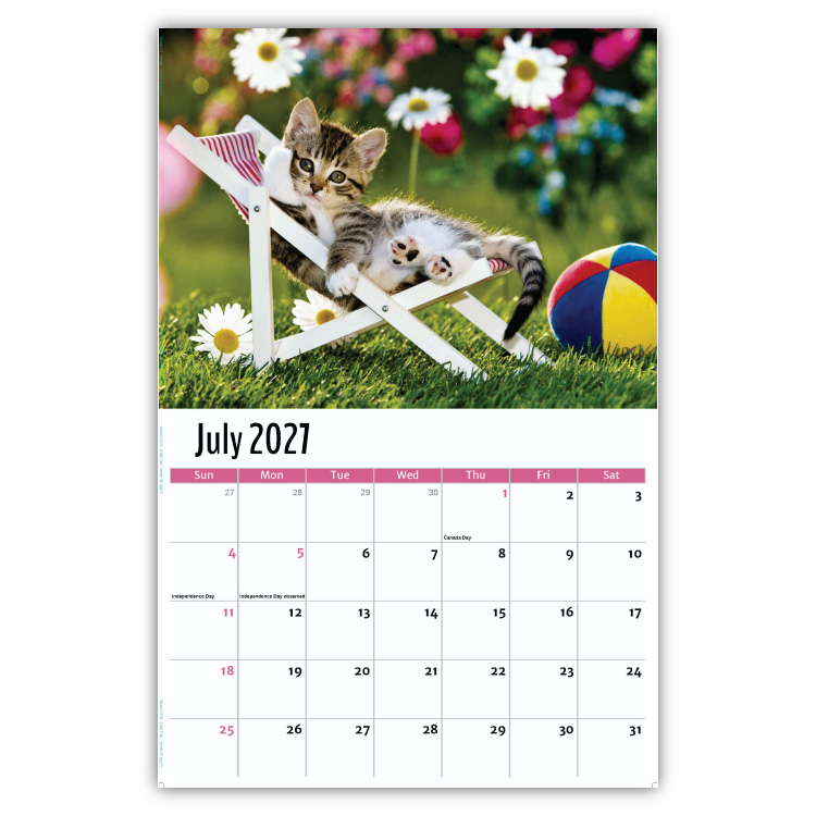 2027 Kittens wall calendar