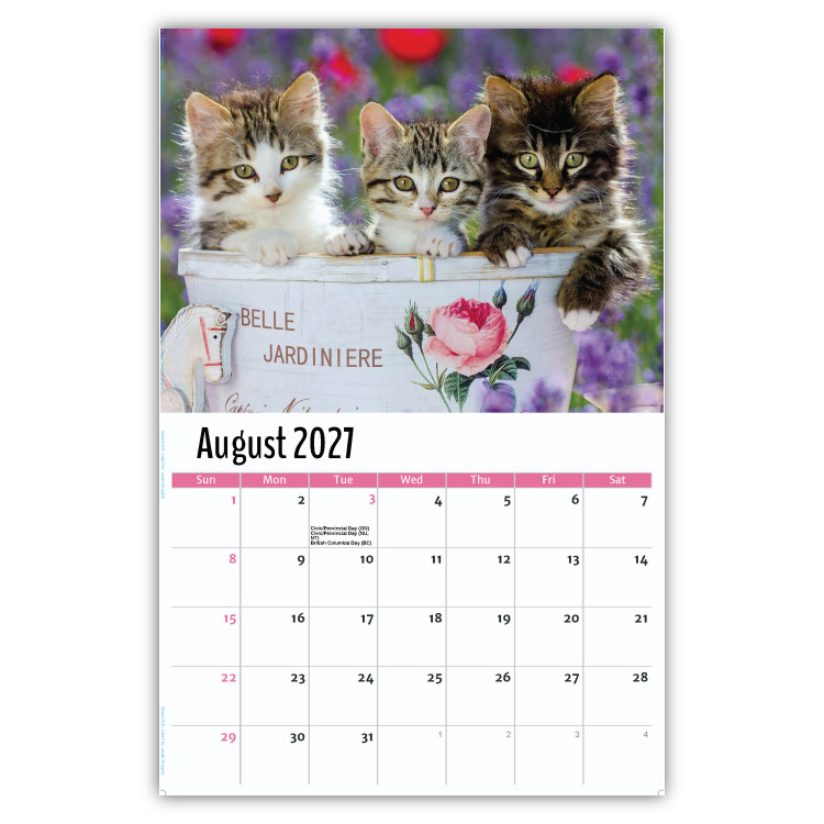 2027 Kittens wall calendar