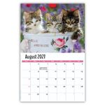 2027 Kittens wall calendar