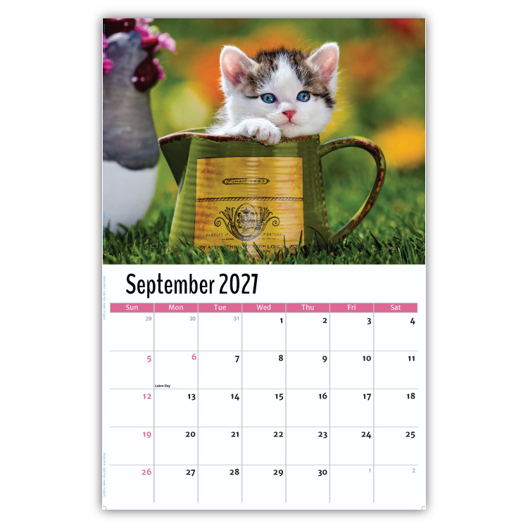2027 Kittens wall calendar