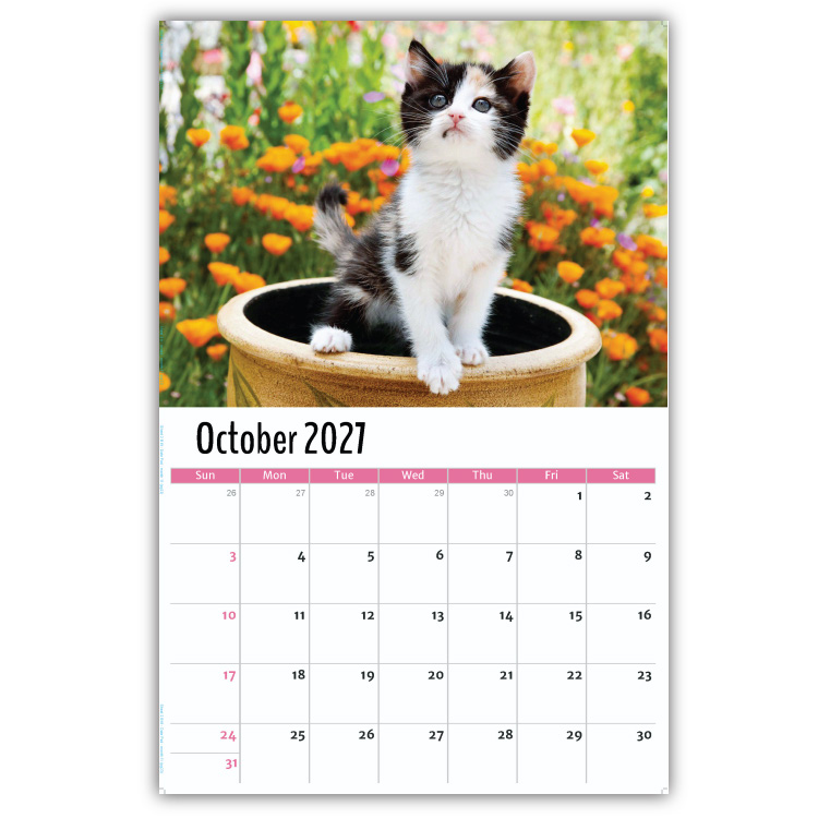 2027 Kittens wall calendar
