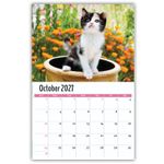2027 Kittens wall calendar