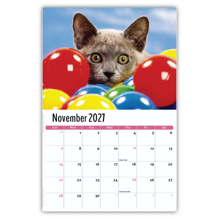 2027 Kittens wall calendar