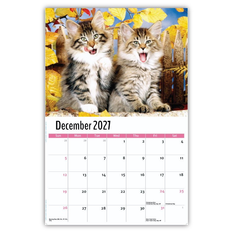 2027 Kittens wall calendar