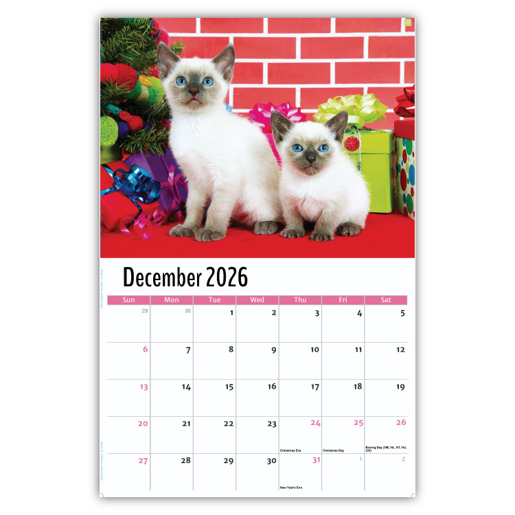 2027 Kittens wall calendar