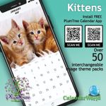 2027 Kittens wall calendar