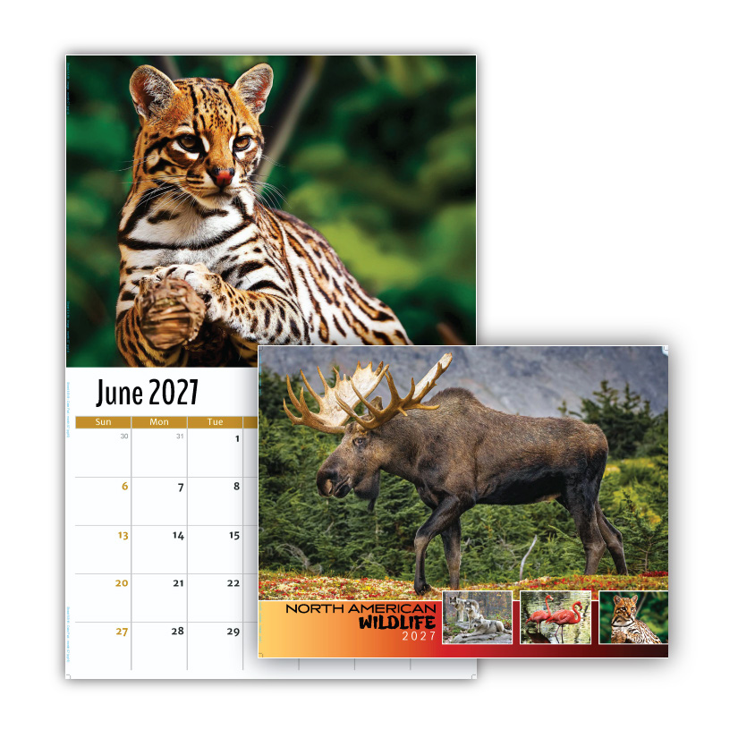 2027 Wall Calendar - North American Wildlife