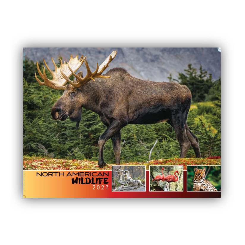 2027 Wall Calendar - North American Wildlife