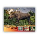 2027 Wall Calendar - North American Wildlife