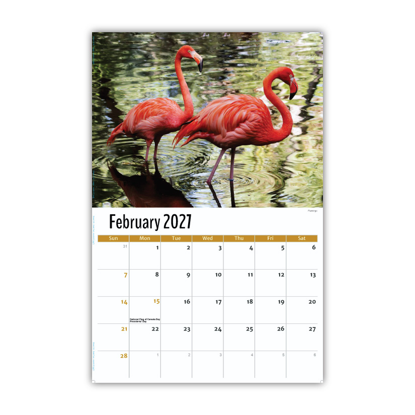 2027 Wall Calendar - North American Wildlife
