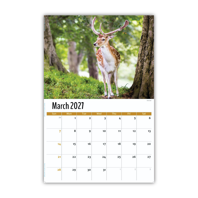 2027 Wall Calendar - North American Wildlife