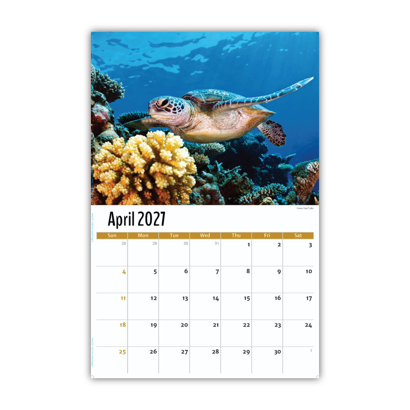 2027 Wall Calendar - North American Wildlife