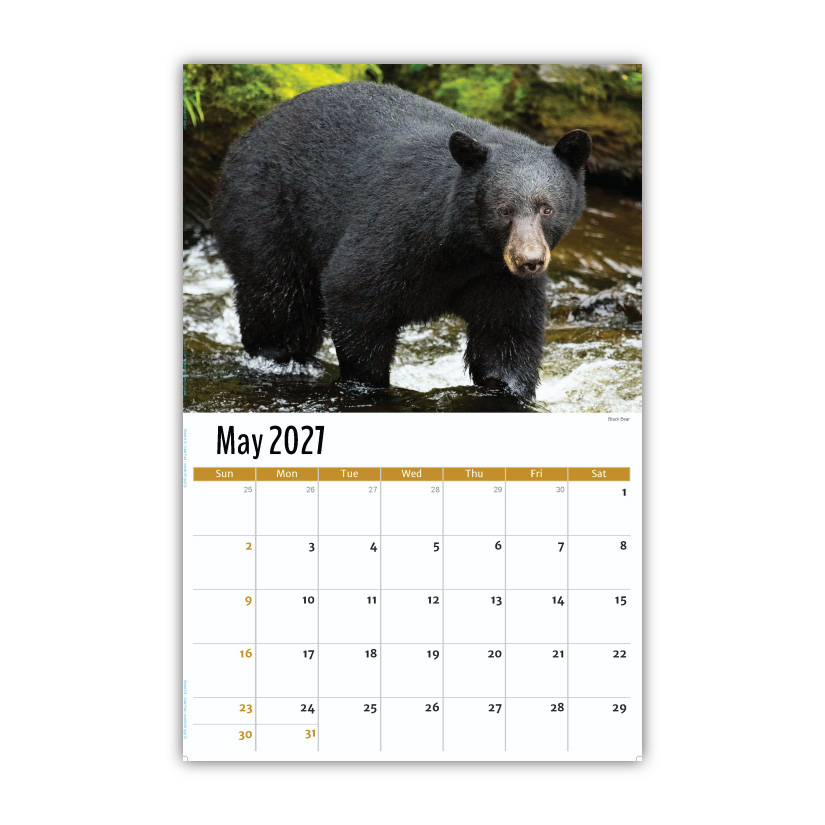2027 Wall Calendar - North American Wildlife