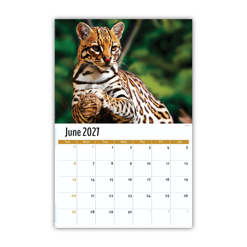 2027 Wall Calendar - North American Wildlife