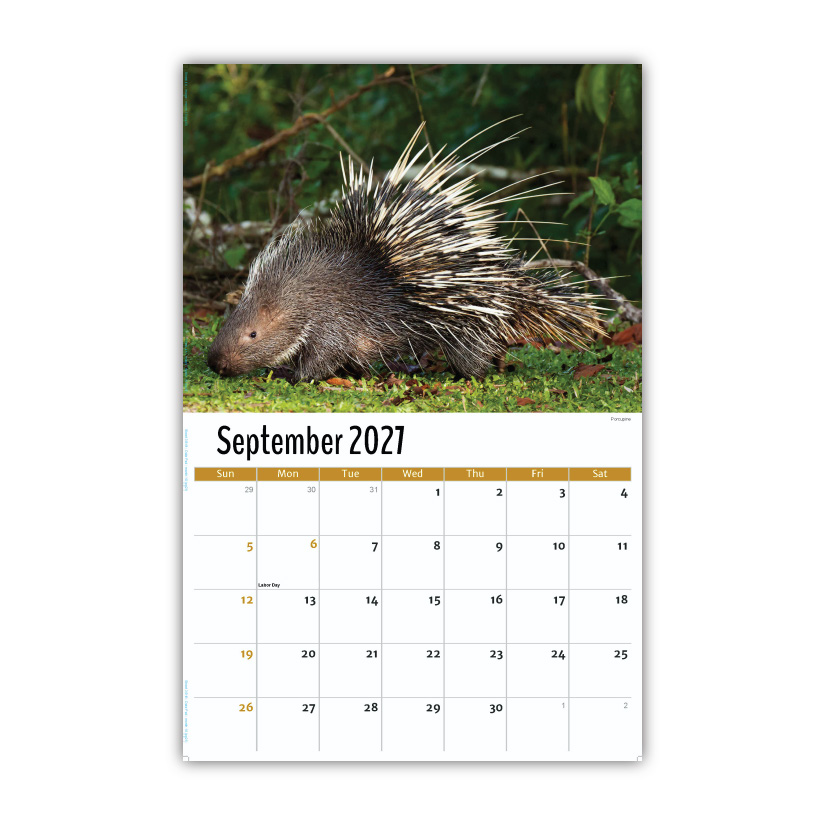 2027 Wall Calendar - North American Wildlife