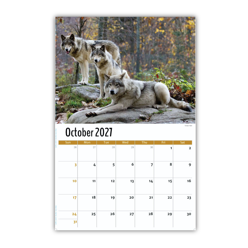 2027 Wall Calendar - North American Wildlife