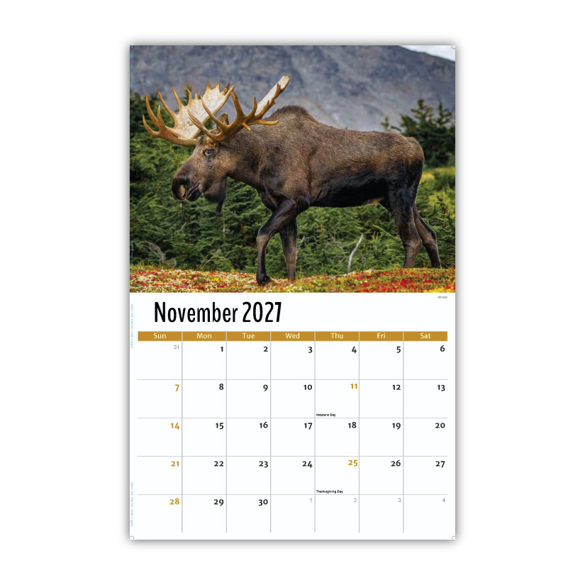 2027 Wall Calendar - North American Wildlife
