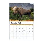 2027 Wall Calendar - North American Wildlife