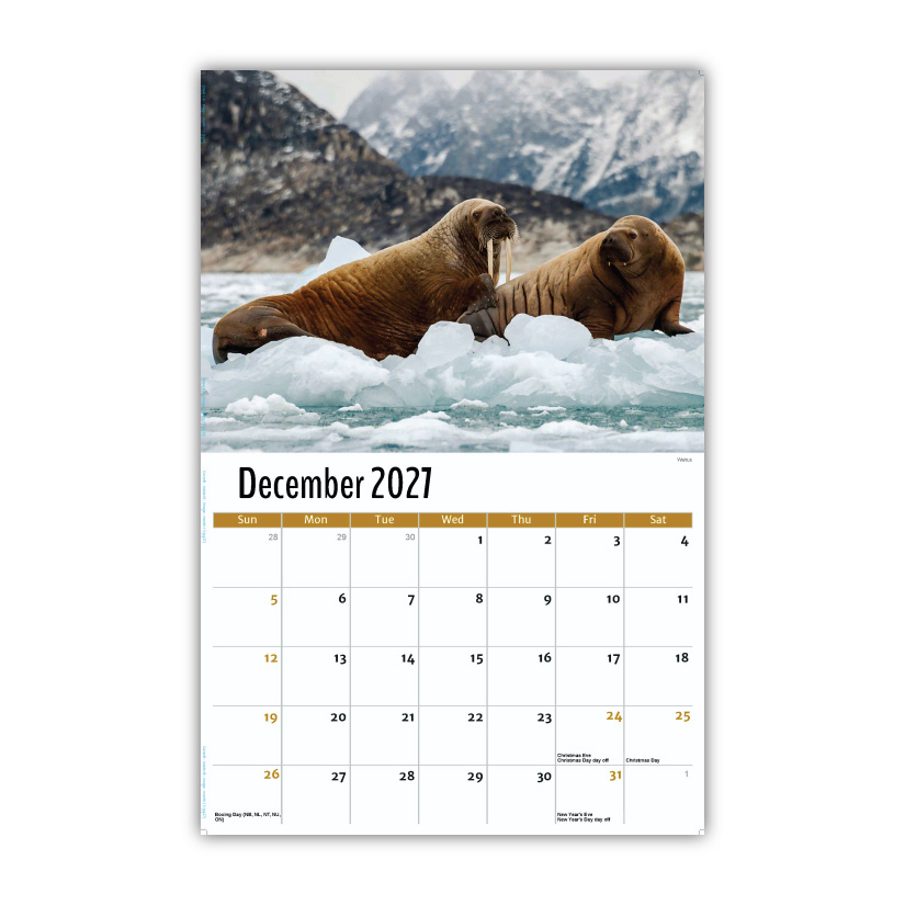 2027 Wall Calendar - North American Wildlife