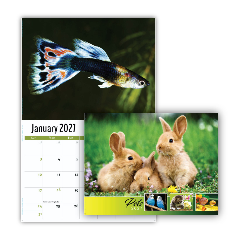 2027 Pets Wall Calendar