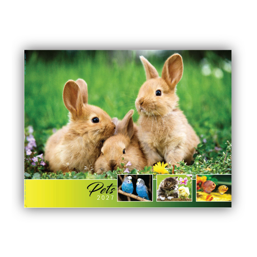2027 Pets Wall Calendar