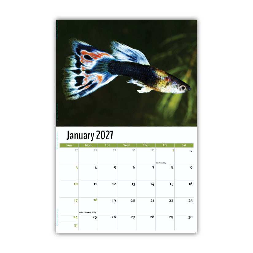 2027 Pets Wall Calendar