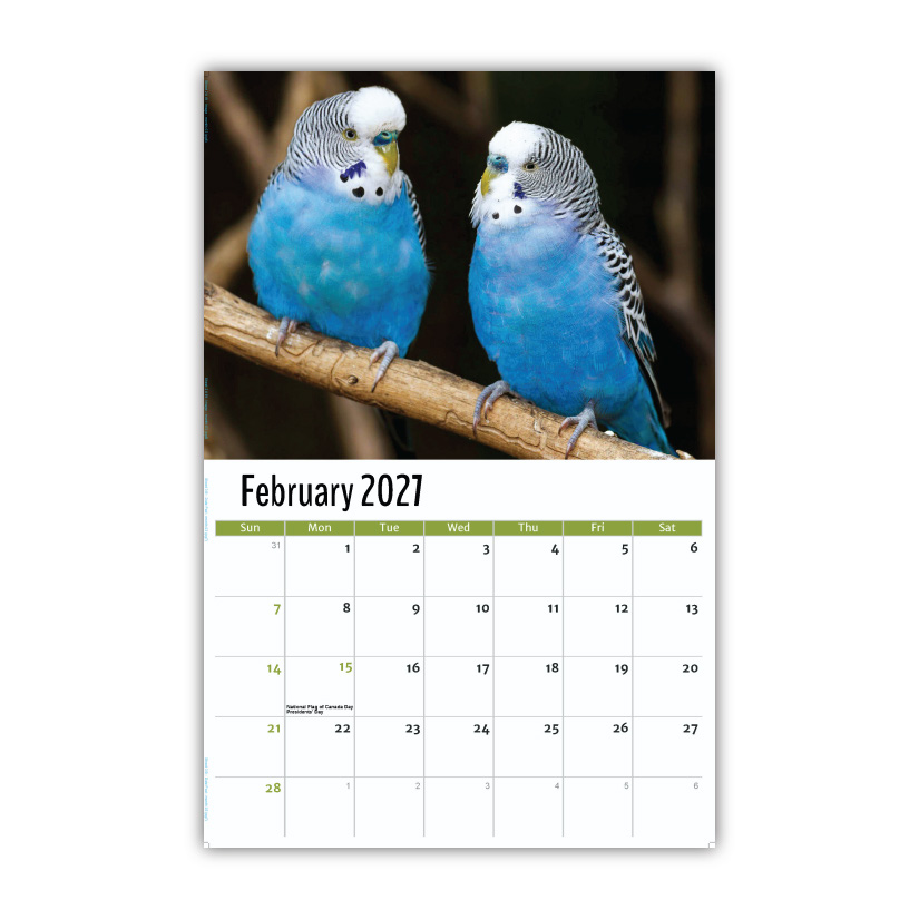 2027 Pets Wall Calendar
