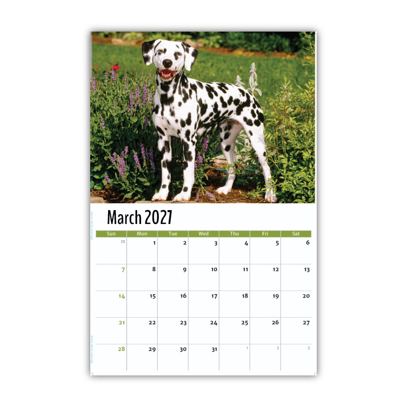 2027 Pets Wall Calendar