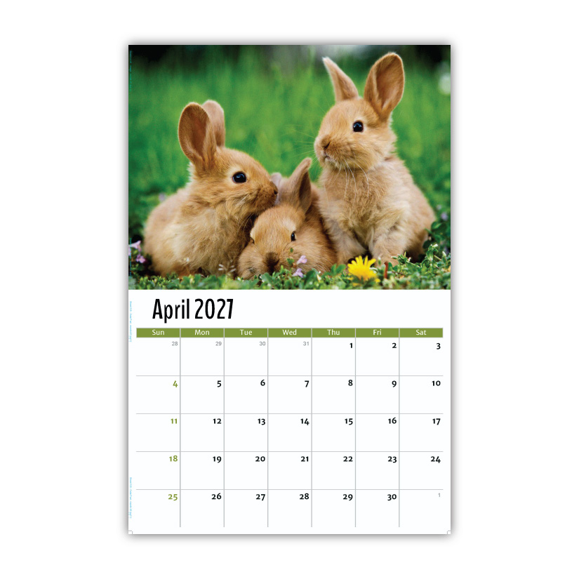 2027 Pets Wall Calendar