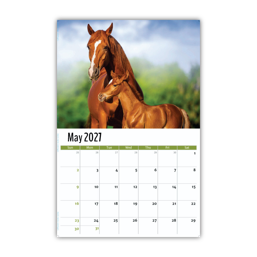 2027 Pets Wall Calendar