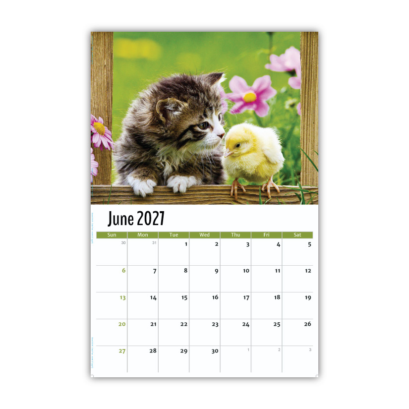 2027 Pets Wall Calendar