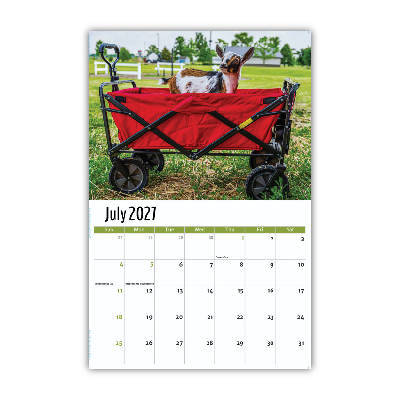 2027 Pets Wall Calendar