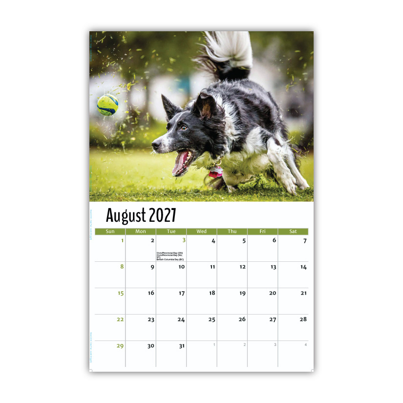 2027 Pets Wall Calendar