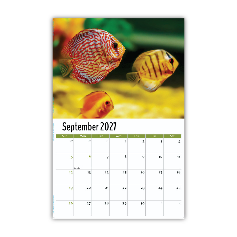 2027 Pets Wall Calendar