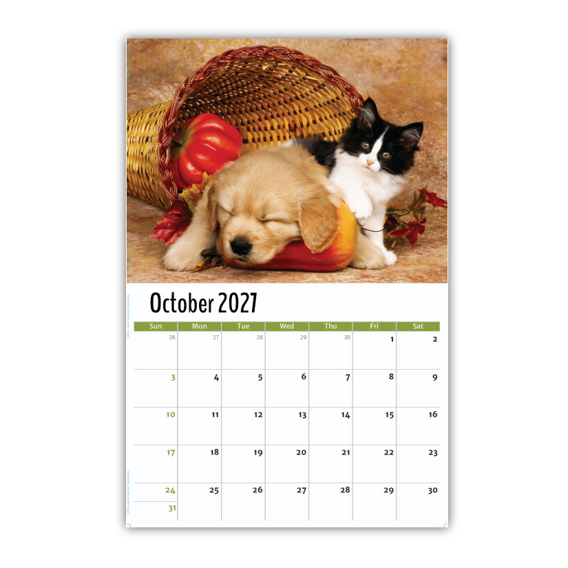2027 Pets Wall Calendar