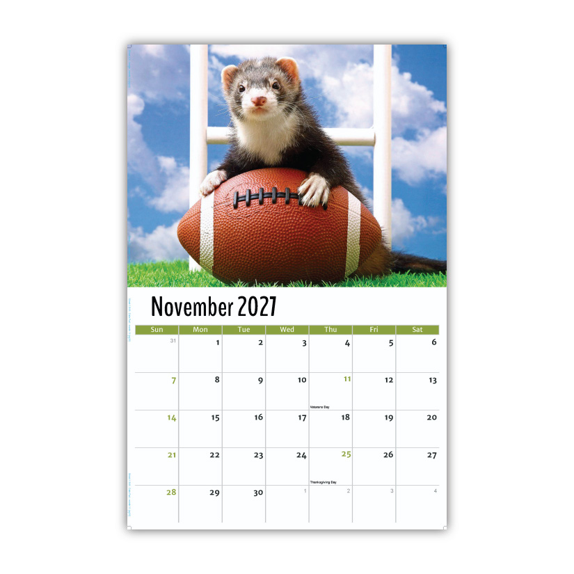 2027 Pets Wall Calendar