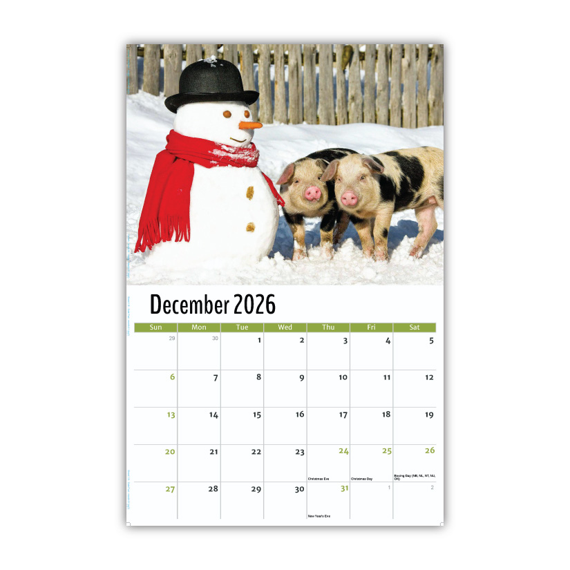 2027 Pets Wall Calendar