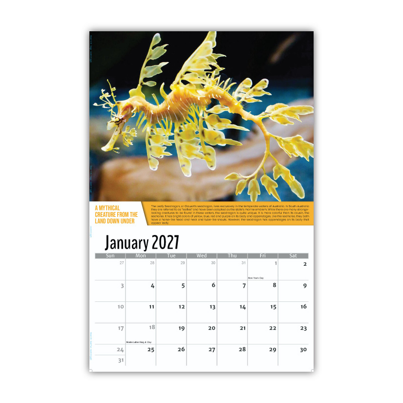 2027 Planet Earth Wall Calendar