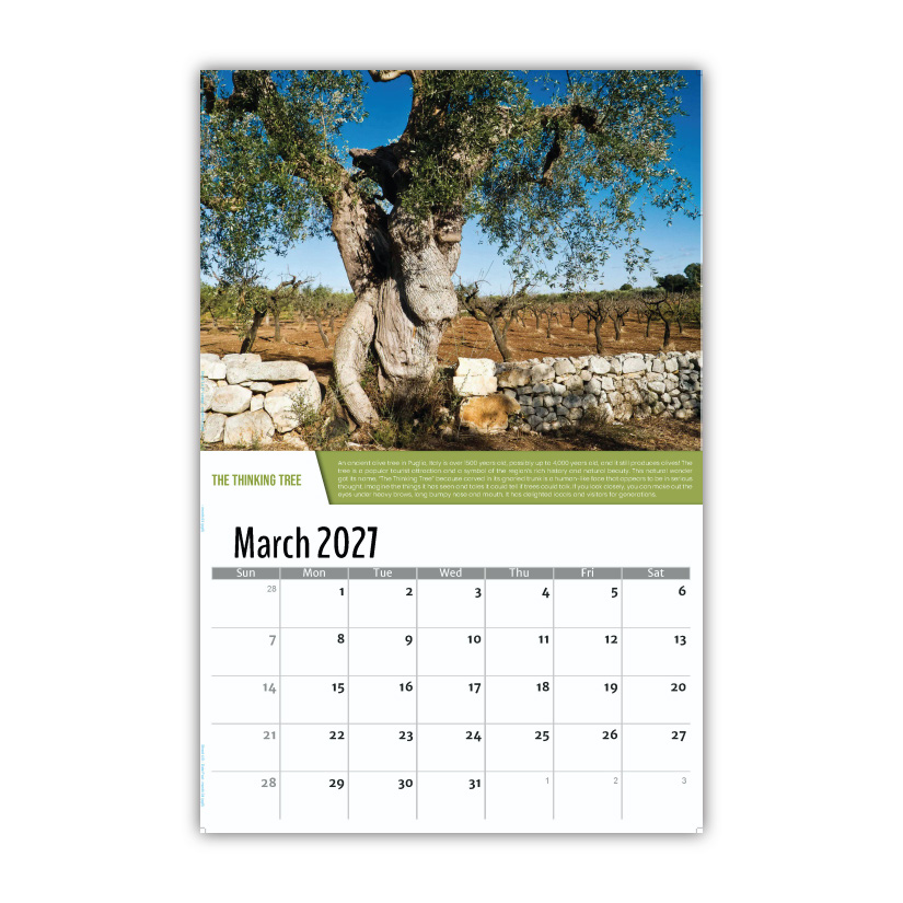 2027 Planet Earth Wall Calendar