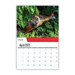 2027 Planet Earth Wall Calendar