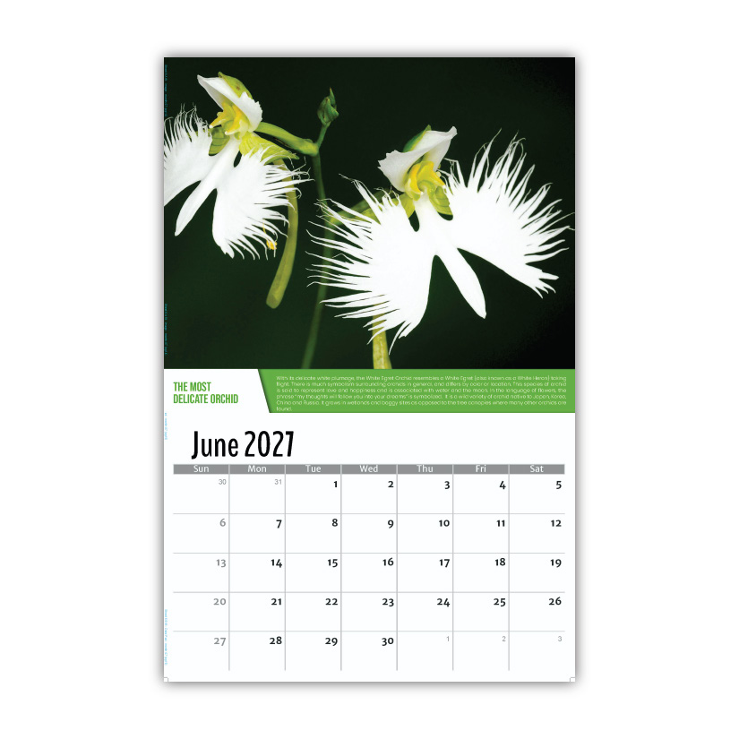 2027 Planet Earth Wall Calendar
