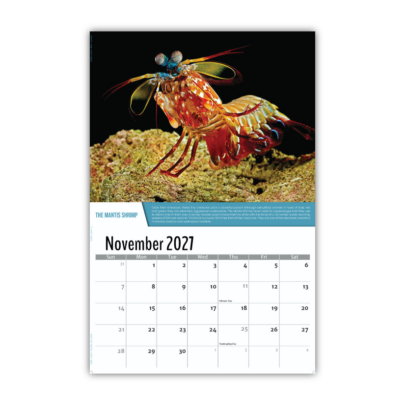 2027 Planet Earth Wall Calendar