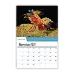 2027 Planet Earth Wall Calendar