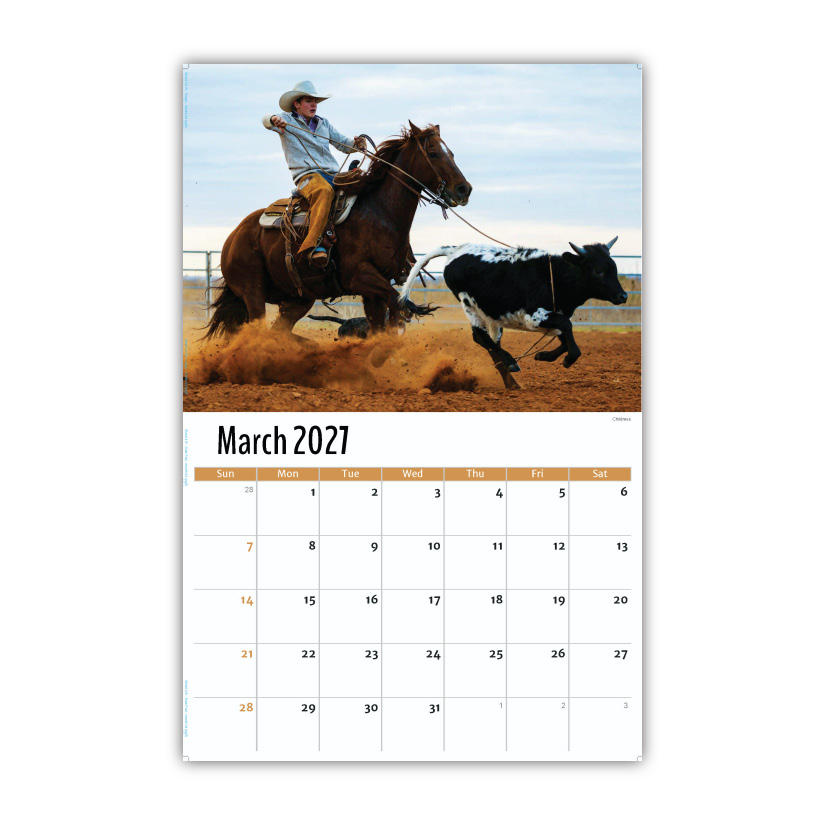 2027 Wall Calendar - Scenes of Texas