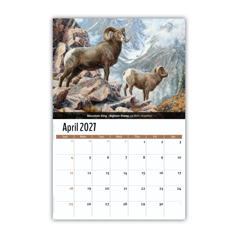 2027 Wall Calendar - Wildlife Portraits