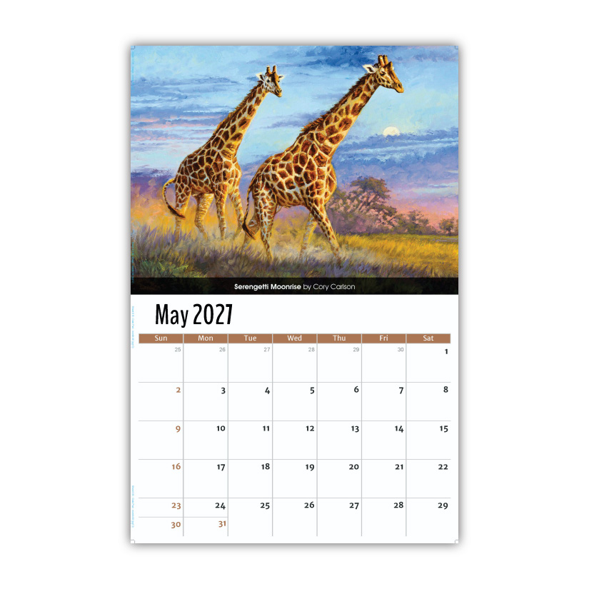 2027 Wall Calendar - Wildlife Portraits