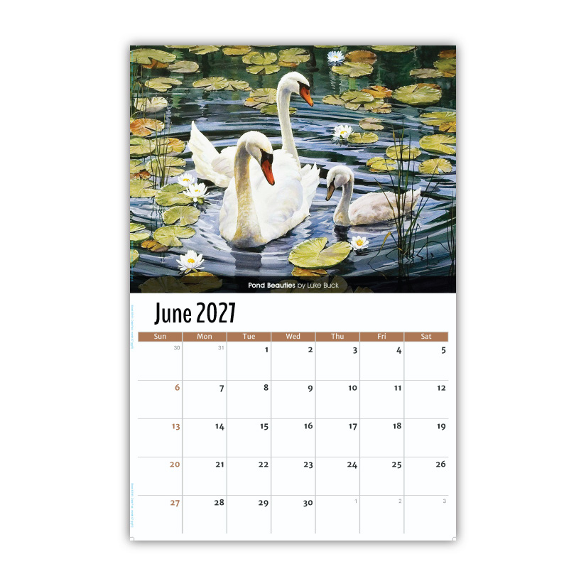 2027 Wall Calendar - Wildlife Portraits