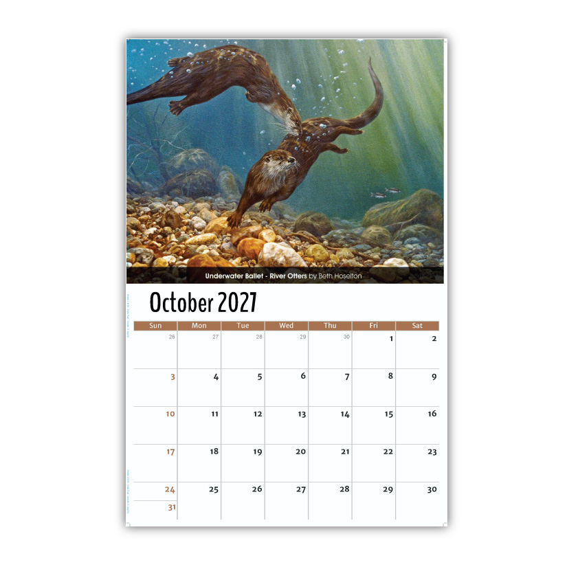 2027 Wall Calendar - Wildlife Portraits