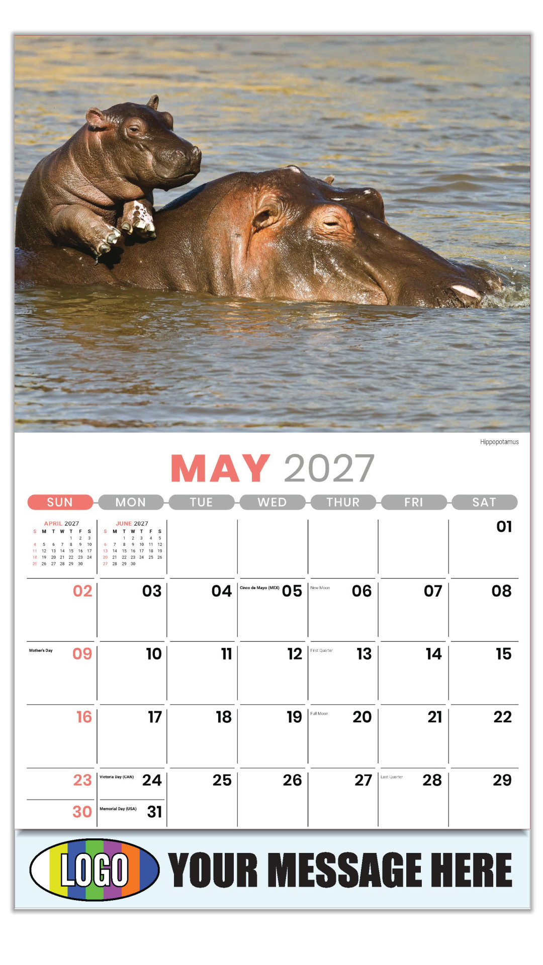 2027 International Wildlife Business Promotional Calendar