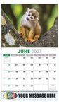 2027 International Wildlife Business Promotional Calendar